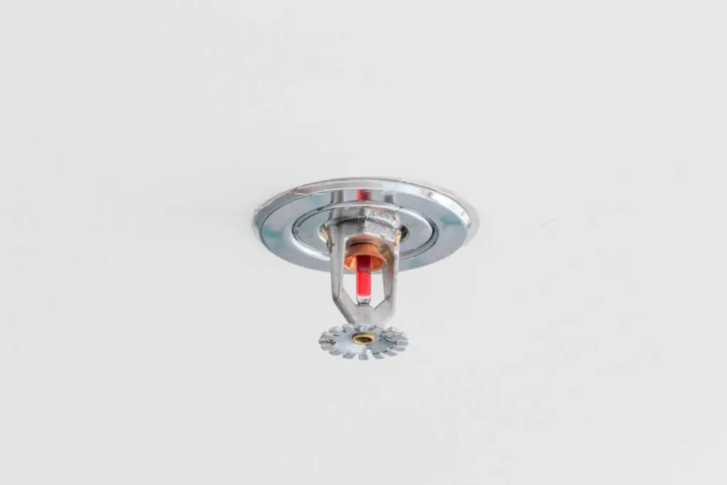 Automatic fire sprinkler head on a white ceiling.